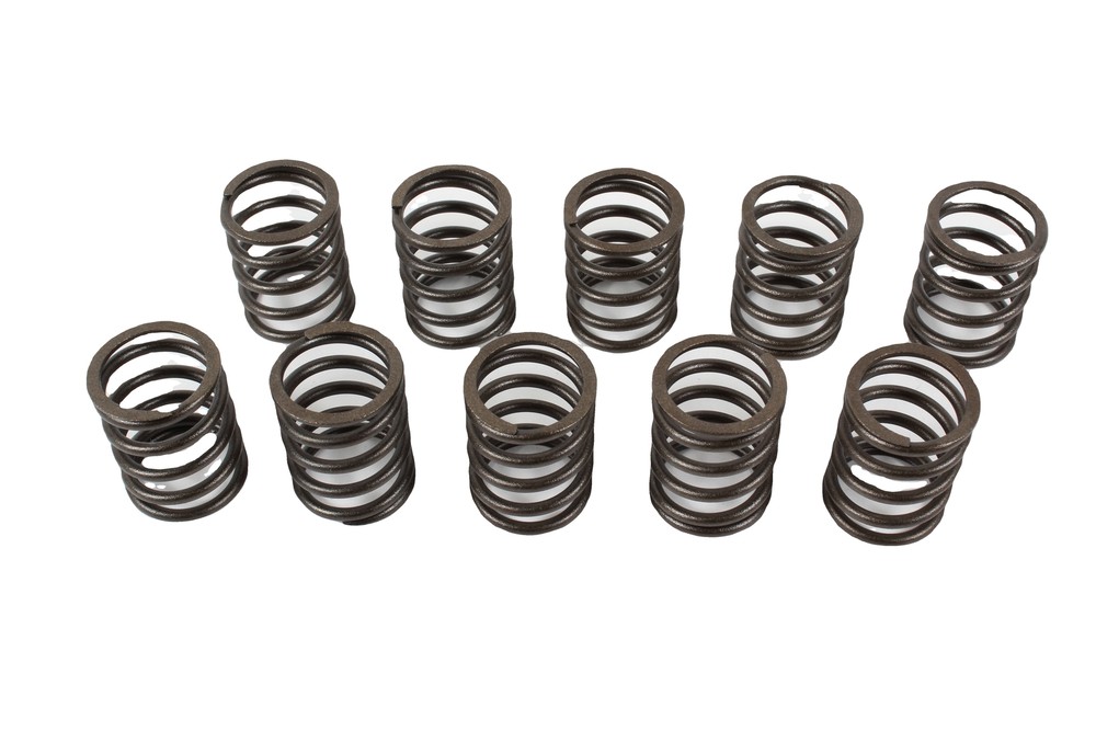 10 Pack Genuine Robin 20A-33601-03 Valve Spring fits EX17 EX21 EX27 279-33601-03