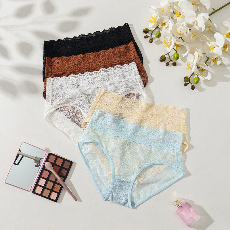 New 5 Pack Lot Sexy Womens See Through Lace Panties Brief Ladies Underwear