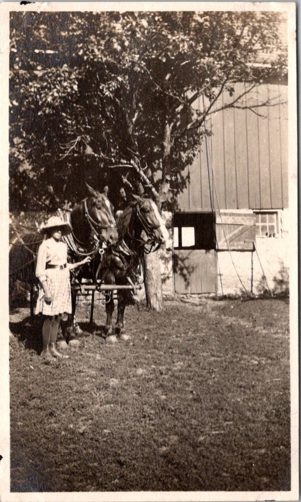 Woman in Light Dress & Hat Standing Team of Horses Barn Yard Vintage Photo 16555