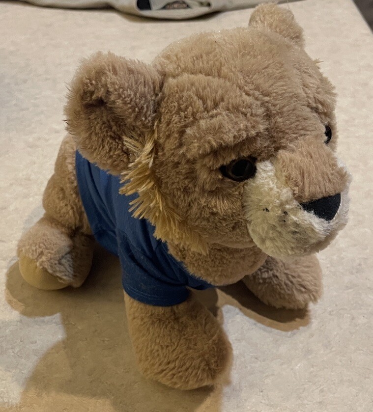 Disney The Lion King Young Simba Build a Bear BAB 14” W/ Circle Of Life Shirt