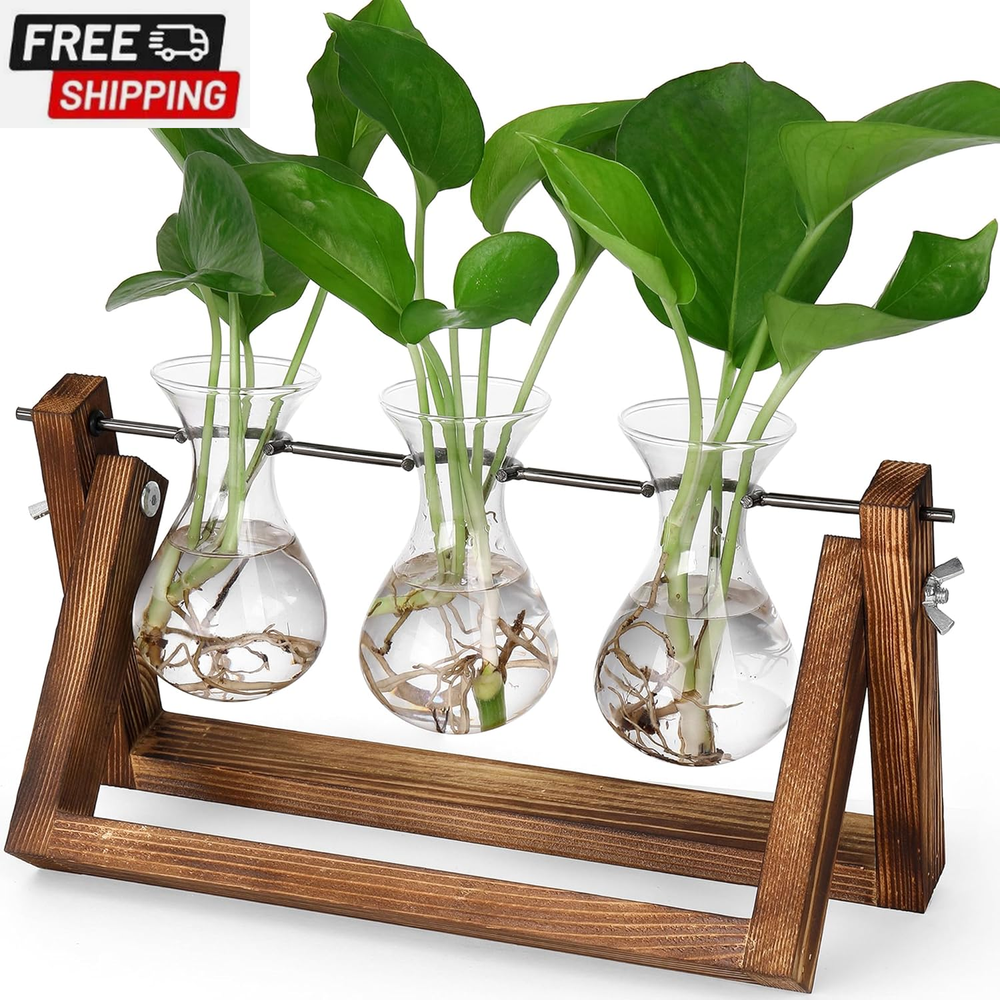 Propagation Stations,Plant Terrarium with Retro Wooden Stand,Unique Gardening Bi