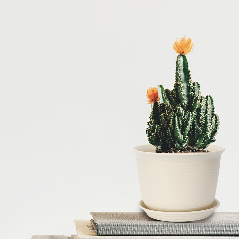 Small Pots for Plants Self Watering Planters Smooth Texture