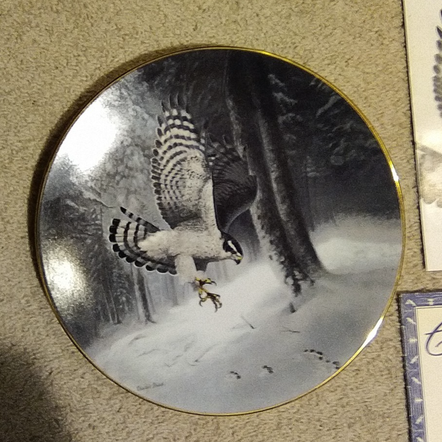 1991 Charles Frace Northern Goshawk Soaring Majesty Plate Bradford Exchange