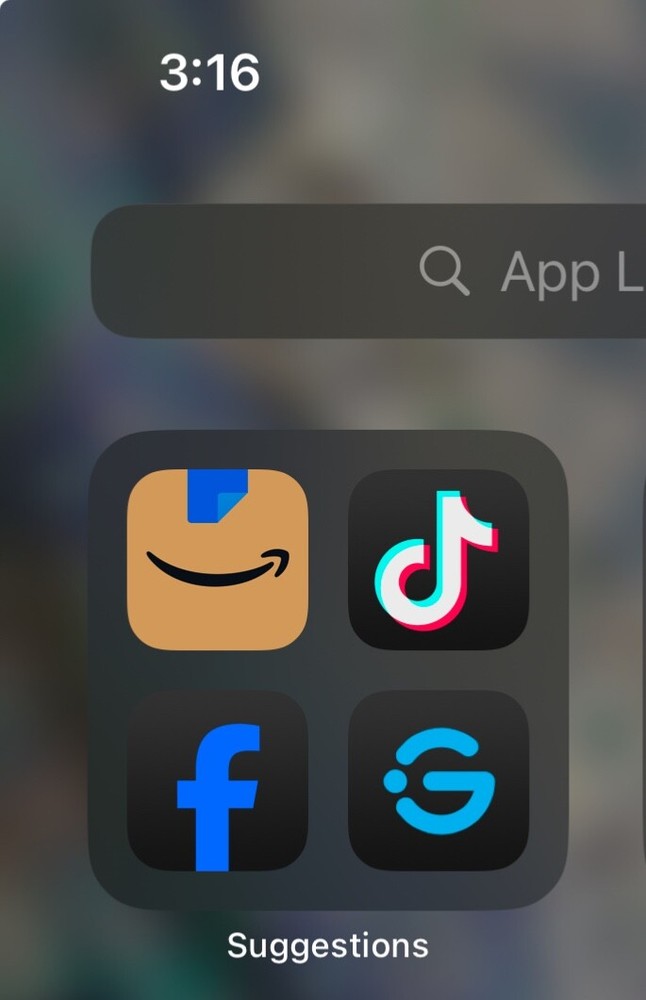 TikTok, Lemon, Cap Cut Downloaded - Apple 13 pro max USA