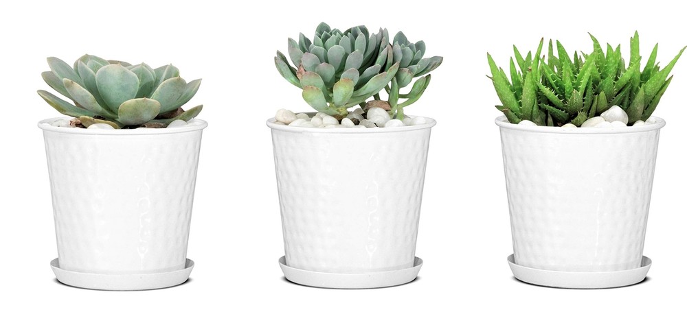 Monarch Abode 20010 Indoor Plants (Set of 3) Hand Hammered Flower Succulent P...