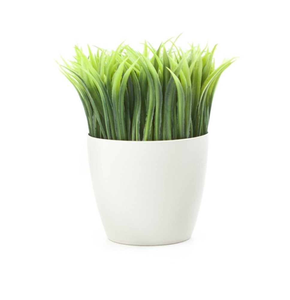 Mini Potted Pen Holder Organizer – Stylish SC24 Design