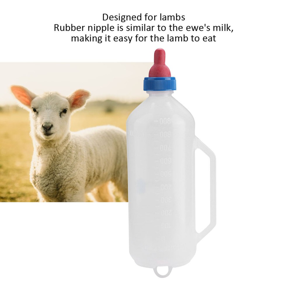 1L Lamb Milk Bottle Baby Goat Milk Feeding Feeder Nursing Bottle with Handle