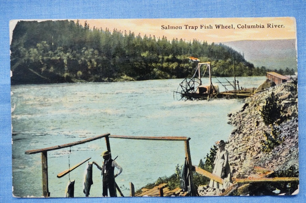 Salmon Fishing Wheel Trap for Columbia River Anglers  