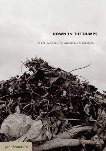 Down in the Dumps: Place, Modernity, American Depression by Jani Scandura: New