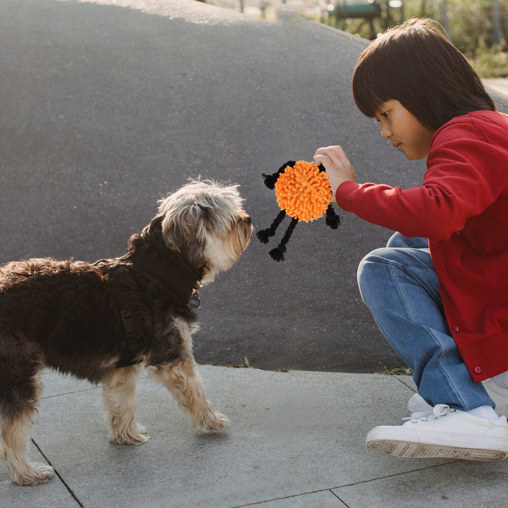 Dog Toy Tug Toy for Dogs Dog Squeaky Toy Tug Rope Toy with Squeaky Sound