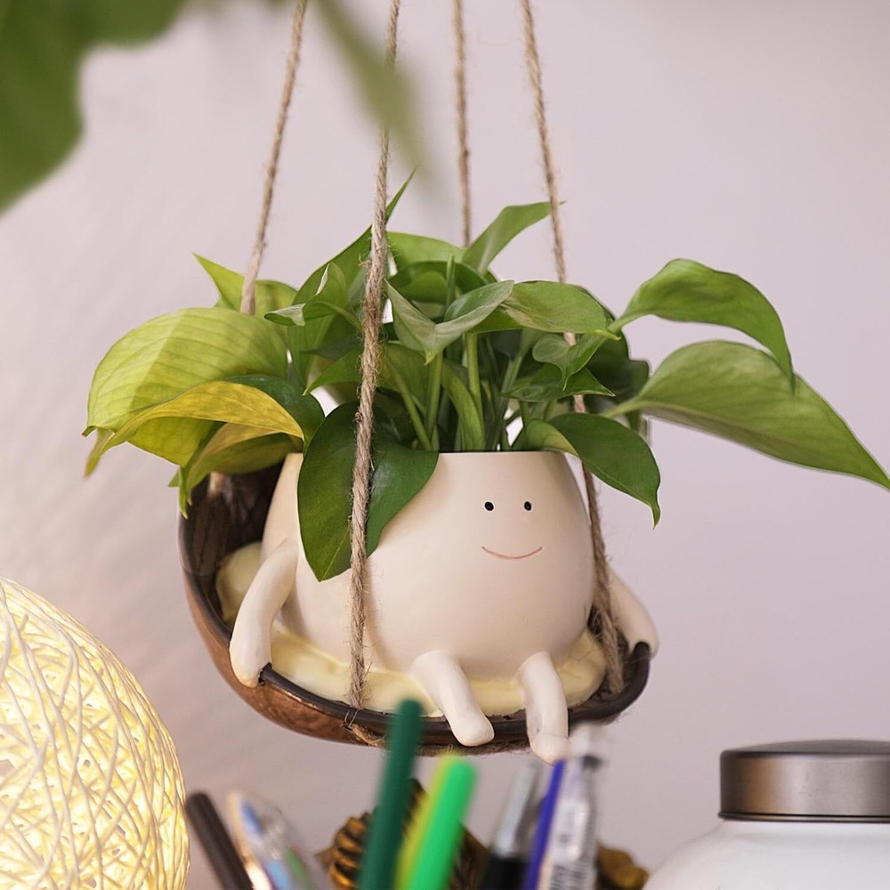 Hanging Swing Chair Planter Pot Smile Face Plant for Indoor Small, Dy-s