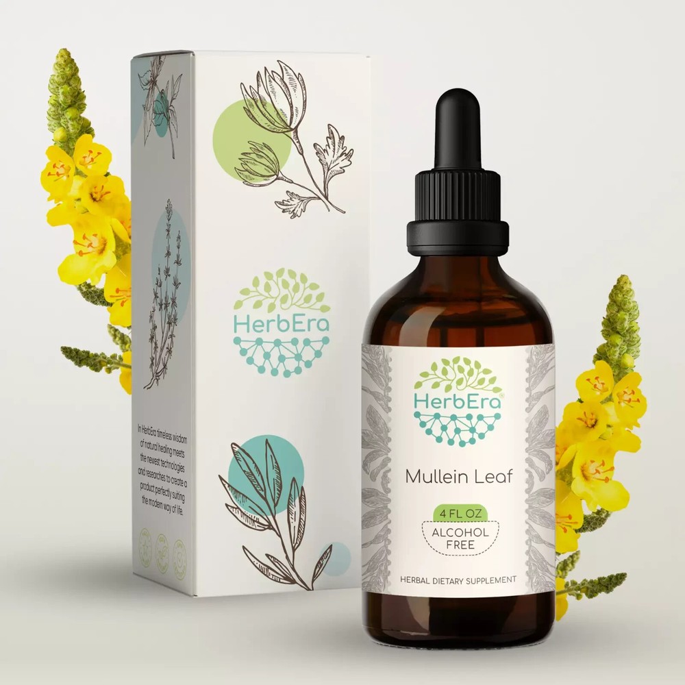 HerbEra Mullein Leaf Alcohol-FREE Tincture, Organic (Verbascum thapsus) 4FL OZ