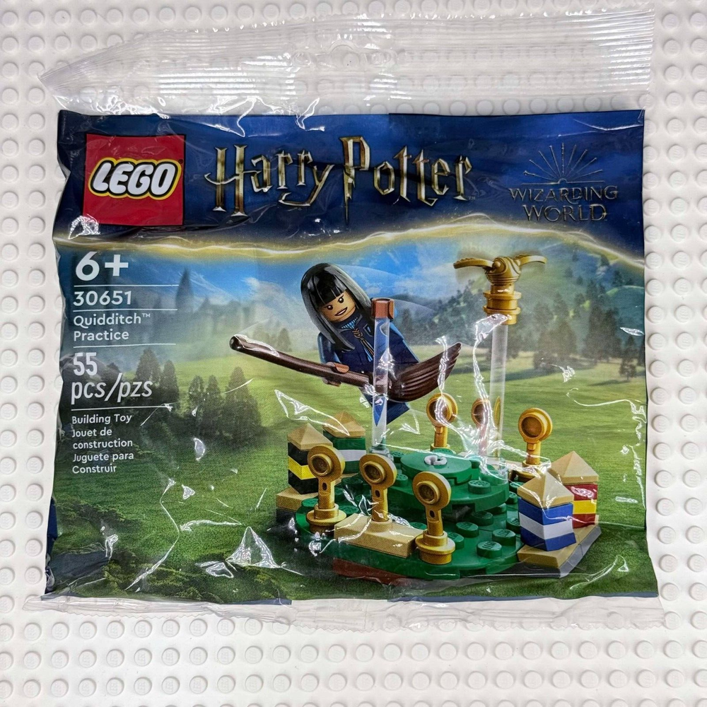 LEGO Harry Potter Quidditch Practice Polybag 30651 with Exclusive Minifigure Sealed New