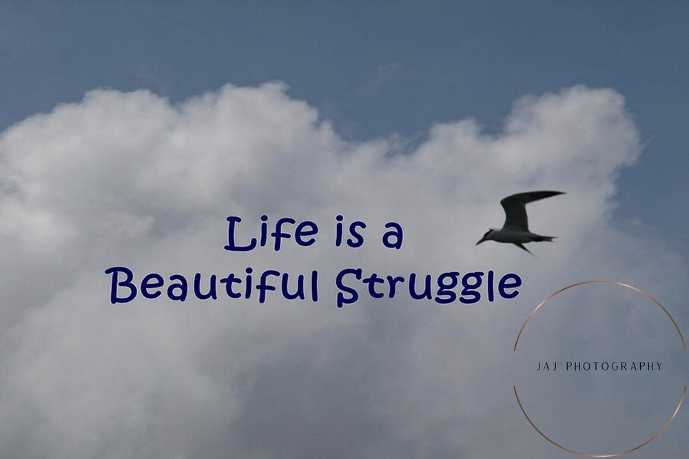 Birdwatching in the Clouds - Stunning Digital Photography-image