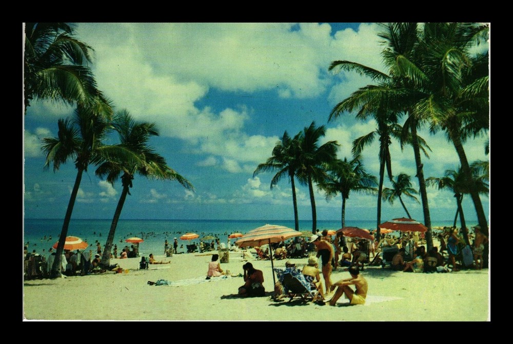 DR JIM STAMPS POSTCARD FLORIDA BEACH SCENE