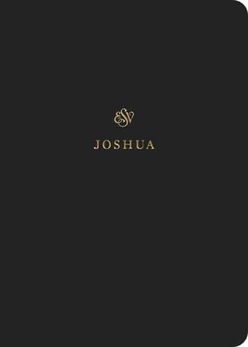 ESV Scripture Journal Joshua Paperback Study and Journaling Bible  